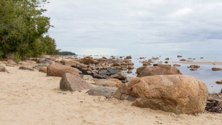 Téléchargez les photos : Vue sur la mer avec ciel bleu, divers rochers et arbres verts - en image libre de droit