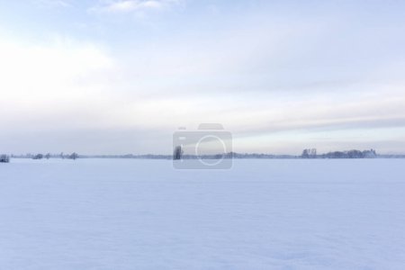 Photo for Winter nature view with almost the same colors of earth and sky where there are small trees on the horizon - Royalty Free Image
