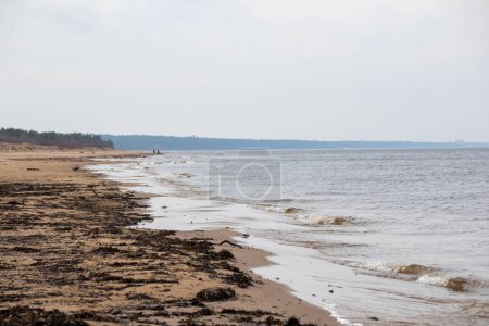 Téléchargez les photos : Vue sur la nature avec sable marin et ciel bleu - en image libre de droit