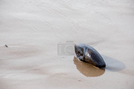 A black stone lies in the water on the sand