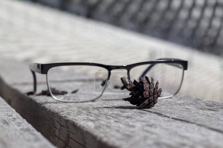 glasses on a wooden bench and pine cones behind the glasses in the background