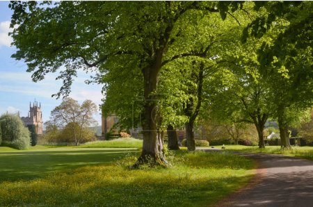 Foto de Una hermosa avenida parque en primavera cerca del Castillo Sudeley en Gloucestershire, Inglaterra - Imagen libre de derechos