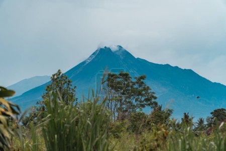 La beauté du mont Merapi à une distance de 13 miles avec des arbres au premier plan. La beauté panoramique du mont Merapi par une journée très claire peut être vue très clairement à distance