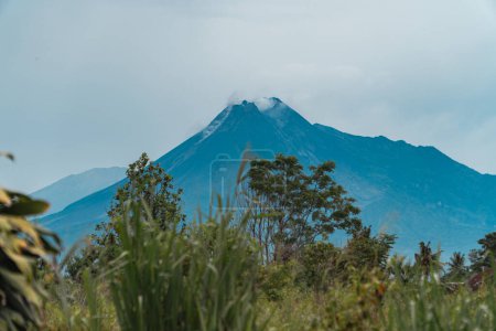 The beauty of Mount Merapi from a distance of 13 miles with trees in the foreground. The panoramic beauty of Mount Merapi on a very clear day can be seen very clearly from a distance