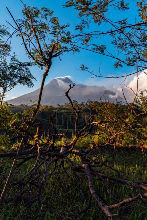 Very clear panorama of Mount Merapi in the evening with grass and fallen trees in the foreground. Mount Merapi in Yogyakarta, Indonesia is truly enchanting in the evening