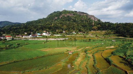 Panoramic view of the Nglanggeran Ancient Volcano ecotourism area in the afternoon using a drone. Aerial footage of an ancient rock hill surrounded by rice fields and villages.