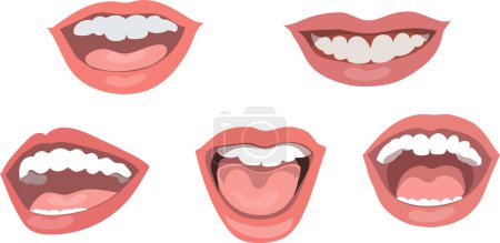 Foto de Conjunto de diferentes iconos de dientes, ilustración de vectores - Imagen libre de derechos