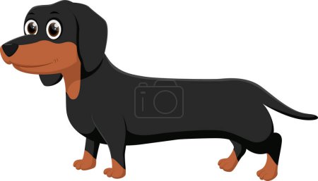 Illustration for Vector Illustration of Cartoon Cute dachshund dog isolated on white - Royalty Free Image