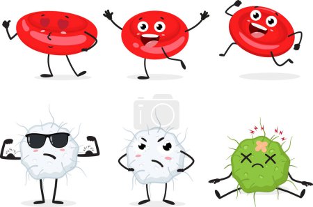 Téléchargez les illustrations : Illustration vectorielle de globules rouges et blancs de bande dessinée, ensemble de personnages mignons, isolé sur fond blanc - en licence libre de droit
