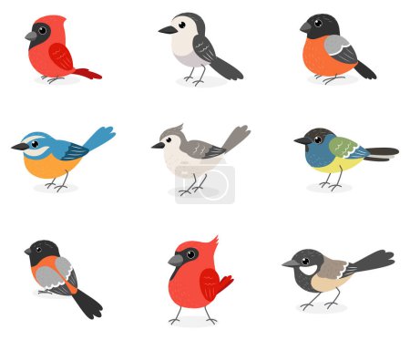 Illustration for Vector Illustration of Cute winter birds cartoon, isolated on white background - Royalty Free Image