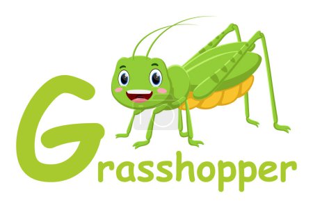 Vector Illustration of Cute font alphabet G for grasshopper cartoon characters