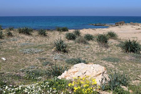 Foto de Piedras en un parque urbano junto al mar en el norte de Israel - Imagen libre de derechos