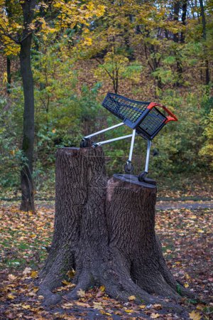 Foto de Un monumento al carrito de la compra se encuentra en un árbol talado en el parque. - Imagen libre de derechos