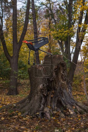 Foto de Un monumento al carrito de la compra se encuentra en un árbol talado en el parque. - Imagen libre de derechos