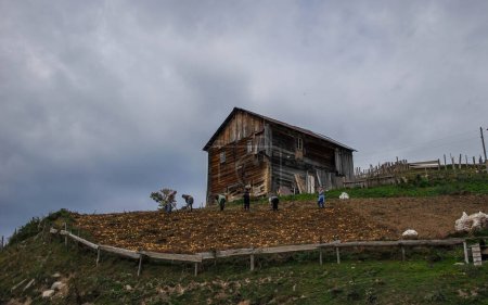 Téléchargez les photos : En automne, au milieu des paysages pittoresques des montagnes géorgiennes, se dresse un village avec des maisons en bois. - en image libre de droit