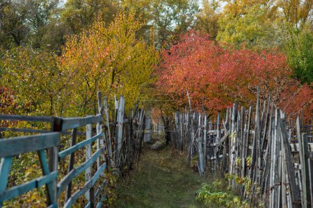 Photo for Autumn, with its golden and red-hued trees, frames the scene along the riverbank, where a wooden fence adds rustic charm to the landscape, leading the eye to a quaint cottage nestled among the foliage. - Royalty Free Image