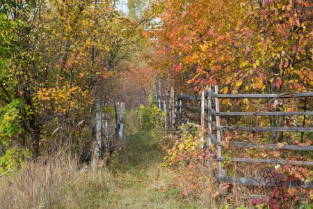 Photo for Autumn, with its golden and red-hued trees, frames the scene along the riverbank, where a wooden fence adds rustic charm to the landscape, leading the eye to a quaint cottage nestled among the foliage. - Royalty Free Image