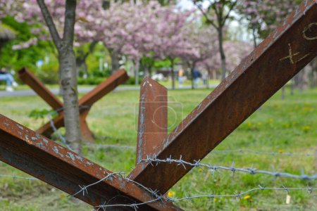 Kiews Verteidigungslinie durchschneidet einen Park mit Kirschblüten, Panzerabwehrhindernissen und Schützengräben der Infanterie