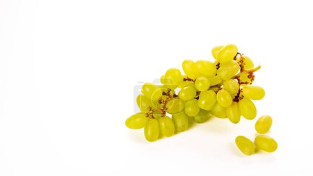 Foto de Ramo de uvas verdes maduras sobre un fondo blanco
. - Imagen libre de derechos