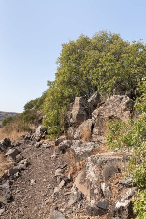 Naturaleza montañosa en el área de la Reserva Natural Gamla, Altos del Golán, norte de Israel