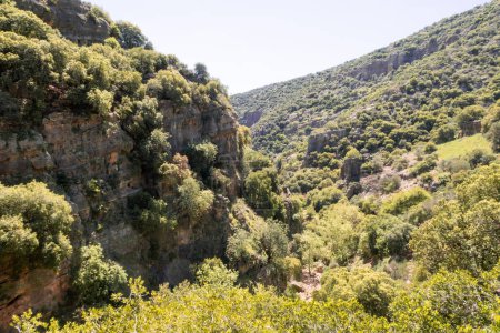 Foto de El profundo desfiladero en el Parque Nacional Natural de Nahal Amud en Galilea Occidental en el norte de Israel - Imagen libre de derechos