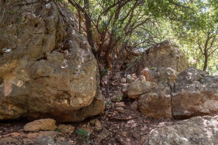 Foto de El Parque Nacional Natural Nahal Amud en Galilea Occidental en el norte de Israel - Imagen libre de derechos