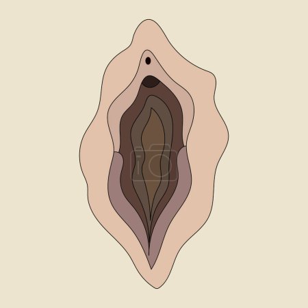 Beauty female reproductive system. Illustrator a vagina. Vector