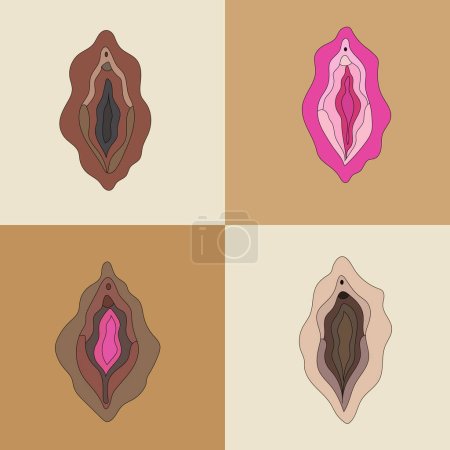 Set of different type of female labia. Illustrator a vagina.Vector in cartoon style. All elements are isolated