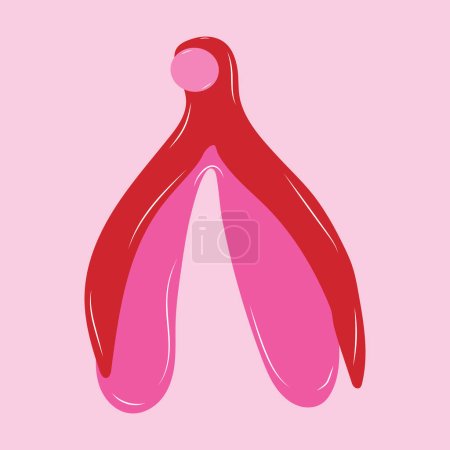 Illustration for Reproductive system of the clitoris. Clitoral glans.Feminism theme and female genital organs. Vector in cartoon style. - Royalty Free Image