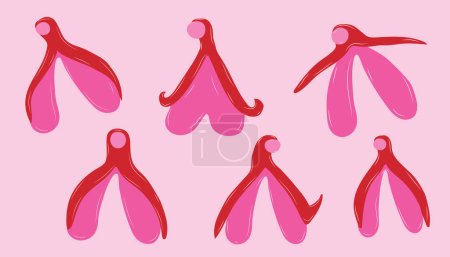 Illustration for Set of Reproductive system of the clitoris. Clitoral glans.Feminism theme and female genital organs. Vector in cartoon style. - Royalty Free Image