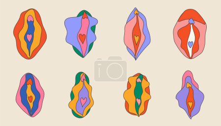Ilustración de Set of Beauty female reproductive system. Vulva. Illustrator a vagina. - Imagen libre de derechos