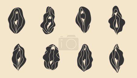Illustration for Set of Beauty female reproductive system. Vulva. Illustrator a vagina. Vector in hand drawn - Royalty Free Image