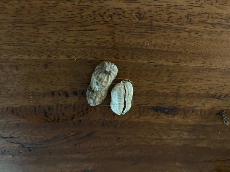 Téléchargez les photos : Roasted peanut shell on wooden table, top view - en image libre de droit