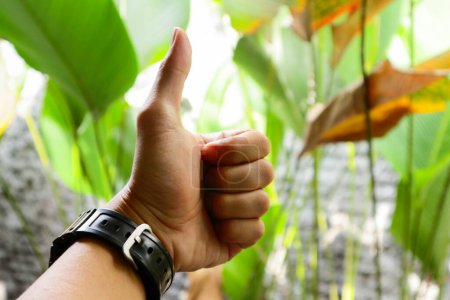 mano del joven mostrando un gesto hacia arriba pulgares sobre el fondo de las plantas