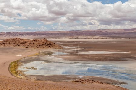 Foto de Humedal del río Quepiaco en medio del desierto de Atacama en la frontera de Chile con Bolivia - Imagen libre de derechos