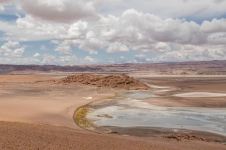 Foto de Humedal del río Quepiaco en medio del desierto de Atacama en la frontera de Chile con Bolivia - Imagen libre de derechos