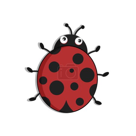 Téléchargez les illustrations : Art illustration symbol macot animal icon design nature concept insect of ladybug - en licence libre de droit
