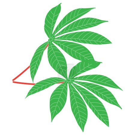 Ilustración de Diseño de símbolo de vector de icono de hoja de mandioca - Imagen libre de derechos