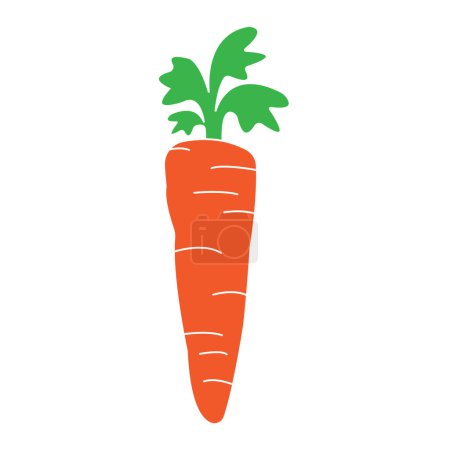 Carrot icon vector illustration design