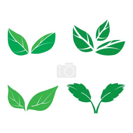 Téléchargez les illustrations : Leaf icon vector illustration symbol design - en licence libre de droit