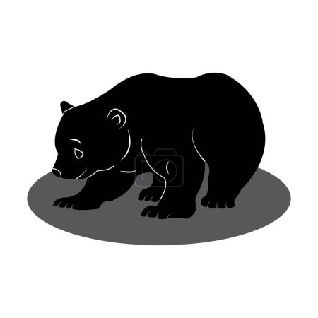 Bear icon vector illustration symbol design