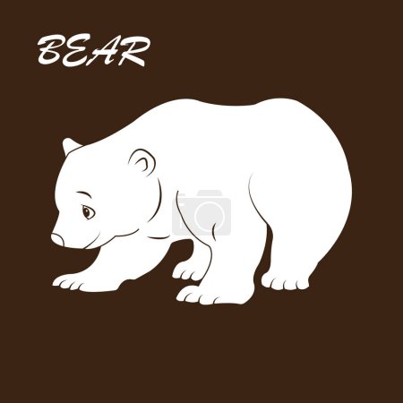 Bear icon vector illustration symbol design