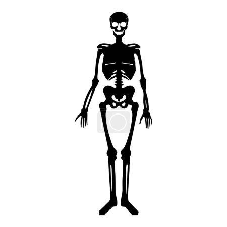 Illustration for Human skeleton icon vector illustration symbol design - Royalty Free Image