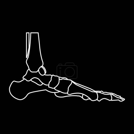 Téléchargez les illustrations : Illustration vectorielle icône os jambe humaine design - en licence libre de droit