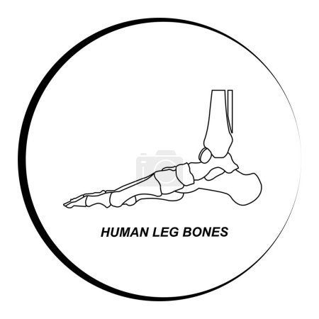Menschliche Beinknochen Symbolvektor Illustration Design
