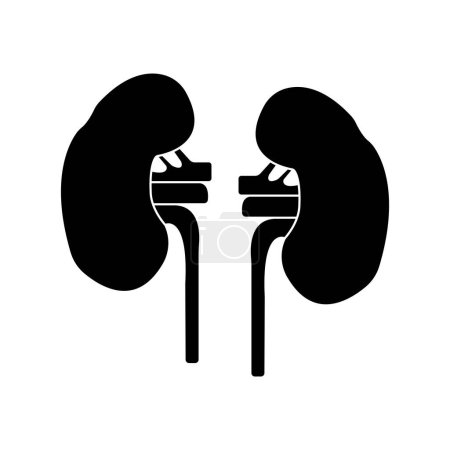 Kidney icon vector illustration symbol design