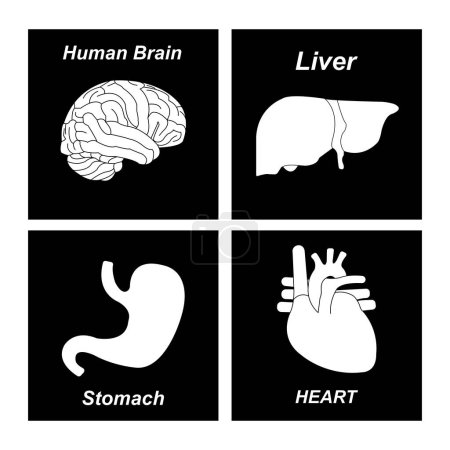 Menschliche Organe Icon Vektor Illustration einfaches Design