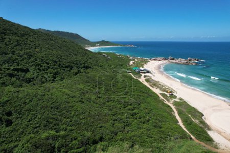 Blick auf die Strände Praia Mole und Galheta von der Spitze der Klippen in Florianopolis, Brasilien. Hochwertiges Foto