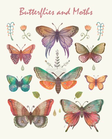 Ilustración de Beautiful patterned butterfly painted in watercolor on white background. - Imagen libre de derechos