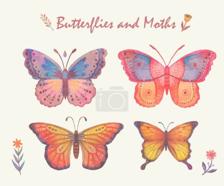 Ilustración de Beautiful patterned butterfly painted in watercolor on white background. - Imagen libre de derechos